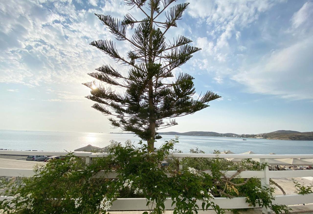 Lyra Seafront Apartment , Paroikia Town Center 外观 照片